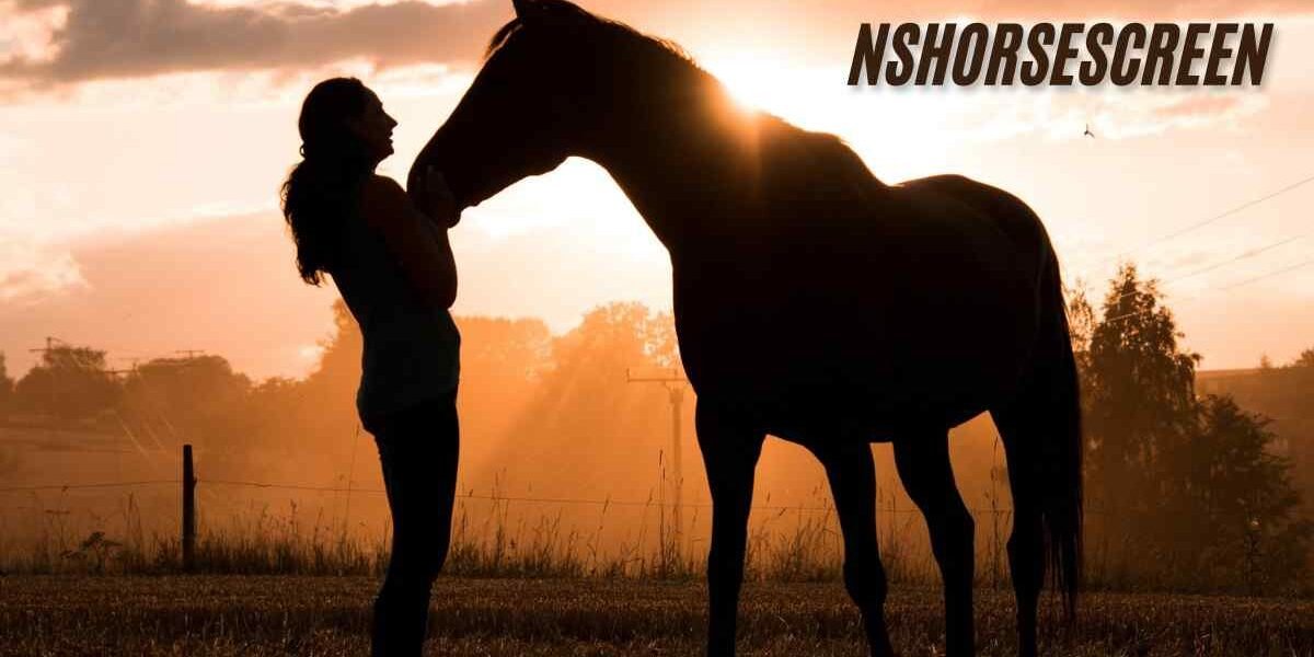 NSHorseScreen: Revolutionizing Equine Monitoring and Care