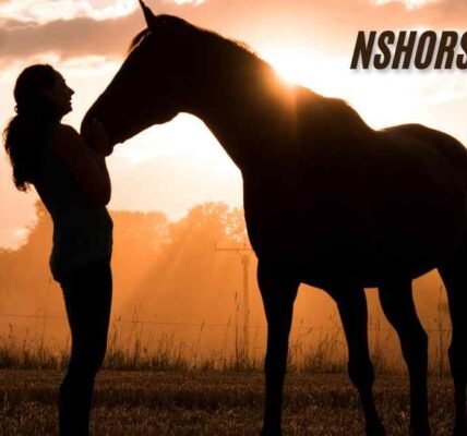 NSHorseScreen: Revolutionizing Equine Monitoring and Care